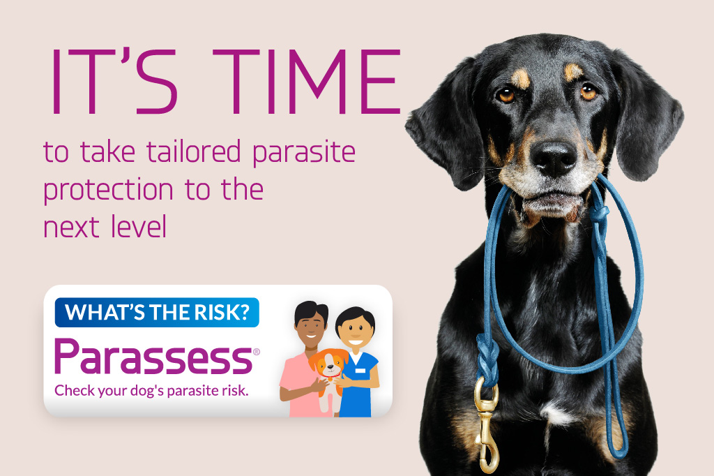 Explore Parassess